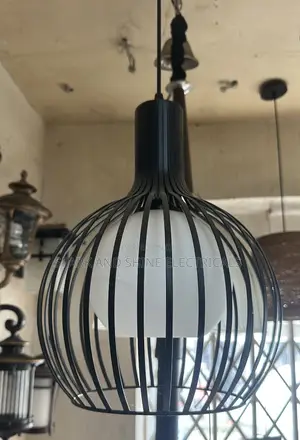 Modern Black Cage Pendant Light