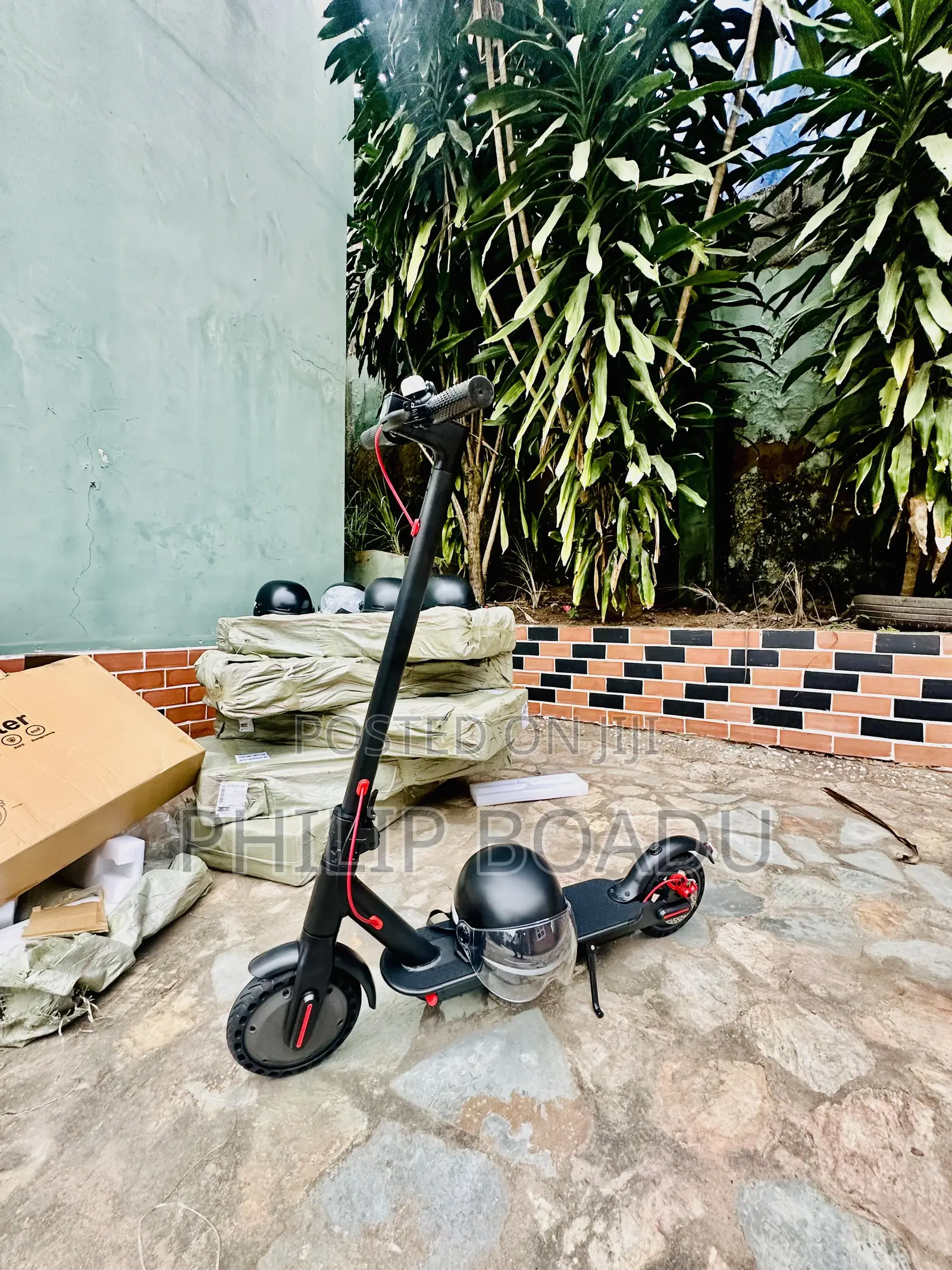 Electric Scooter