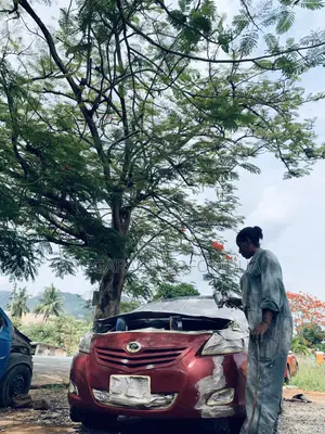 Car Spraying