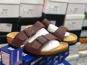 Birkenstock (Arizona Etc)
