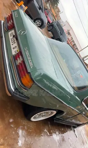 Mercedes-Benz 1827 1981 Green