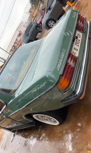 Mercedes-Benz 1827 1981 Green