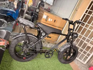 Electric Bike V8