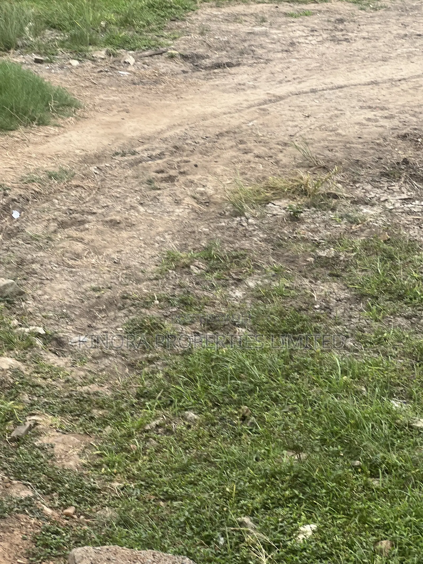 Titled Land for Sale at Dome Pillar 2