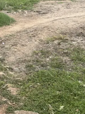 Titled Land for Sale at Dome Pillar 2