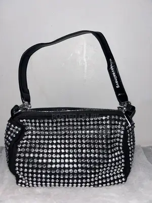 Alexander Wang Evening Bag