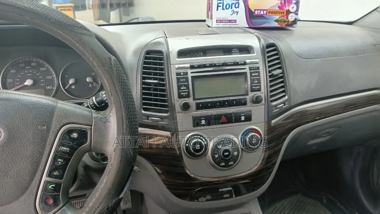 Hyundai Santa Fe 2010 Gray