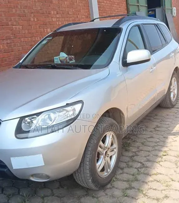 Hyundai Santa Fe 2010 Gray