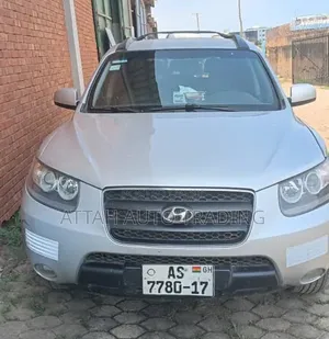 Hyundai Santa Fe 2010 Gray