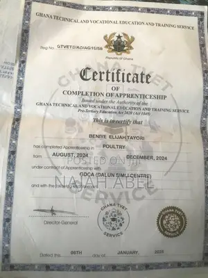 Beniye Elijah Tayori