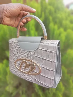 Ladies Hand Bag