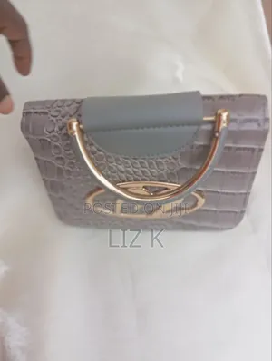 Ladies Hand Bag