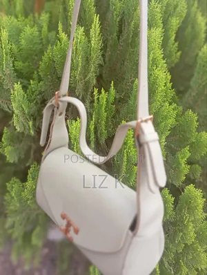 Ladies Hand Bag