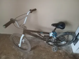 BMX 20 Inchs Bike for Chidren and Adult