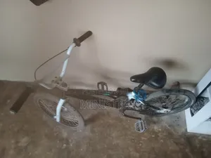 BMX 20 Inchs Bike for Chidren and Adult