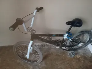 BMX 20 Inchs Bike for Chidren and Adult