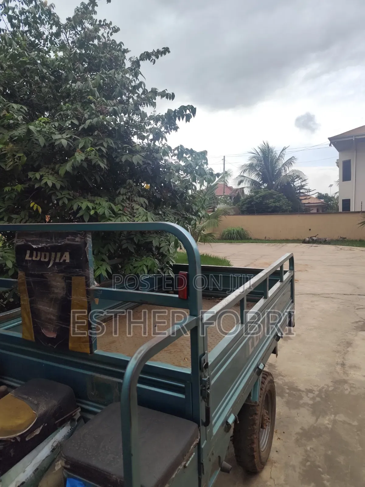 Tricycle 2023 Green