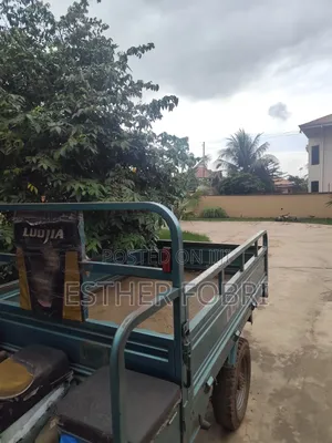 Tricycle 2023 Green