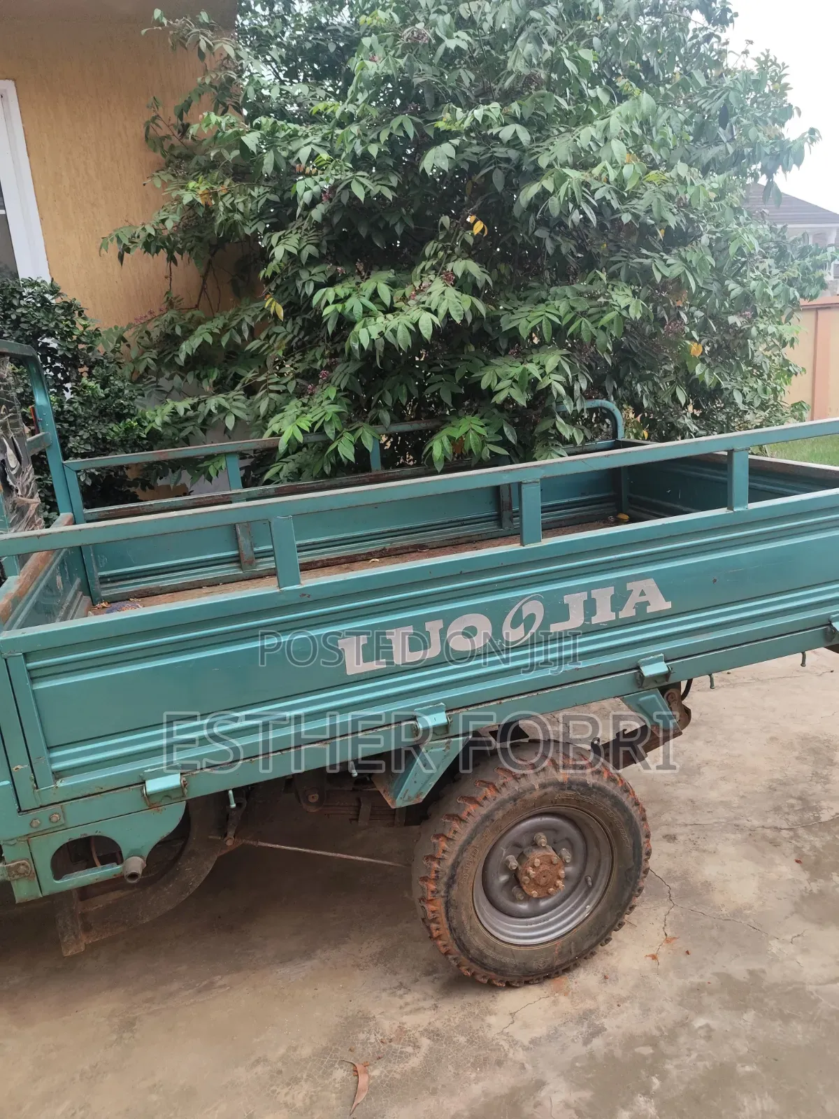 Tricycle 2023 Green