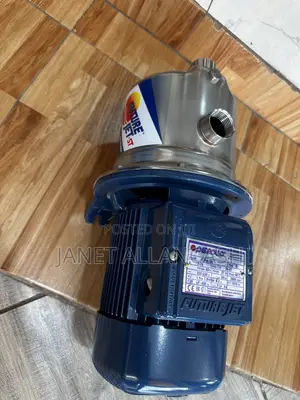 Pedrollo Water Pump