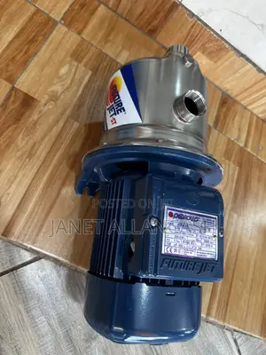 Pedrollo Water Pump