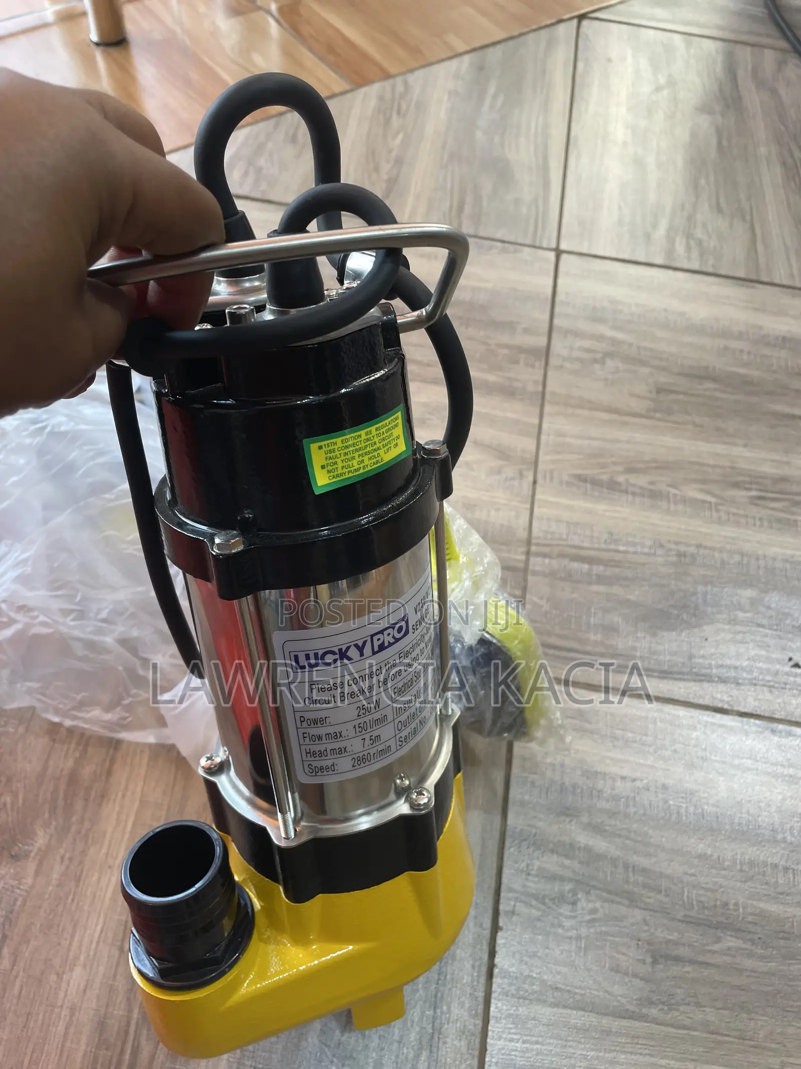 Sewage Pump