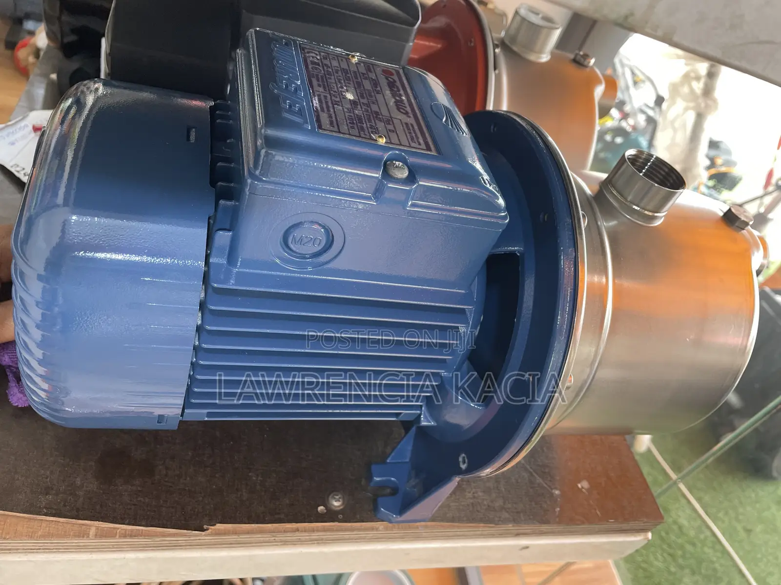 Pedrollo Water Pump