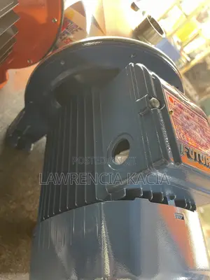 Pedrollo Water Pump