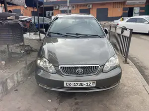 Toyota Corolla LE 2007 Gray