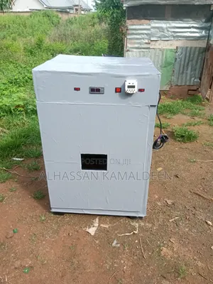 Eggs Incubator