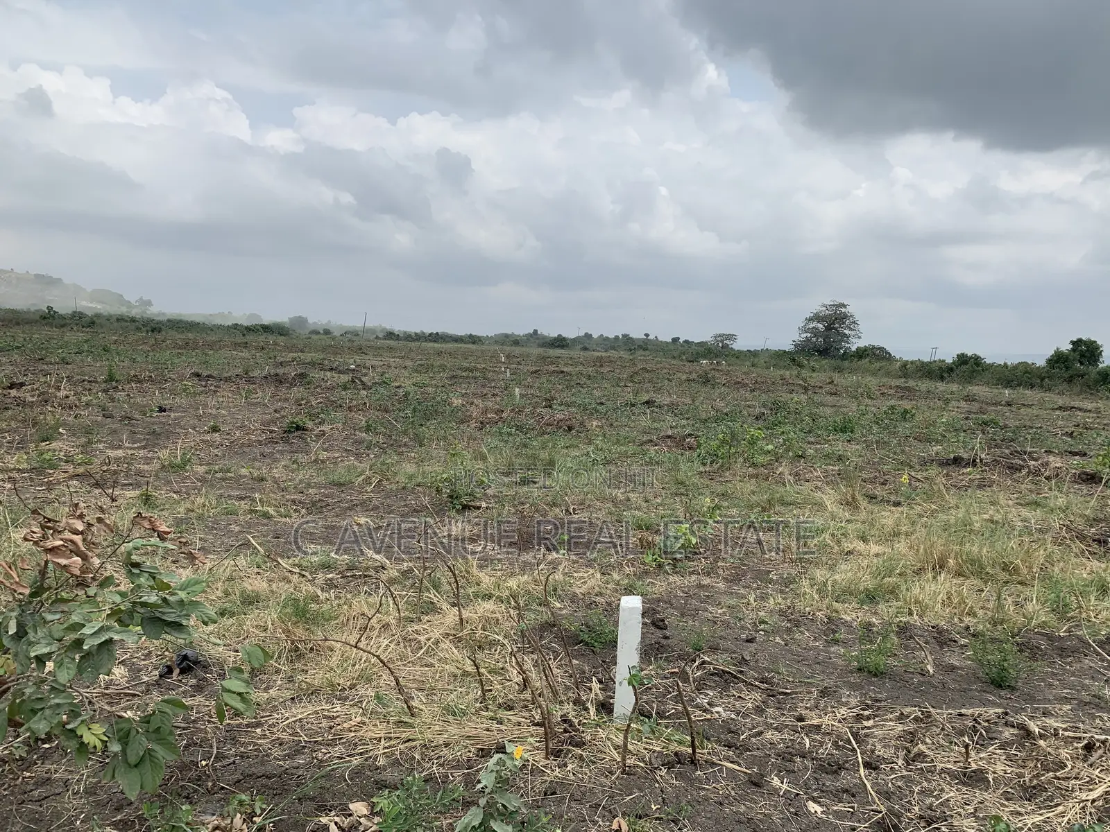100% Litigation -Free Half Plots in Dawhenya Zion City