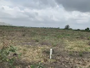 100% Litigation -Free Half Plots in Dawhenya Zion City