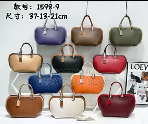 Ladies Beautiful Handbag