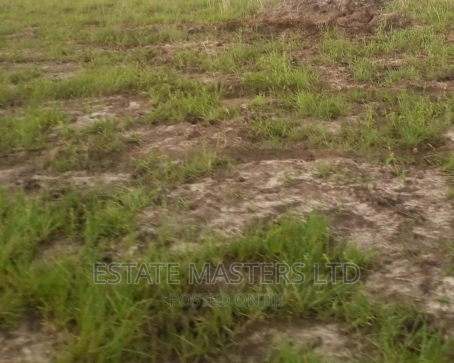 Titled Plots After Central University