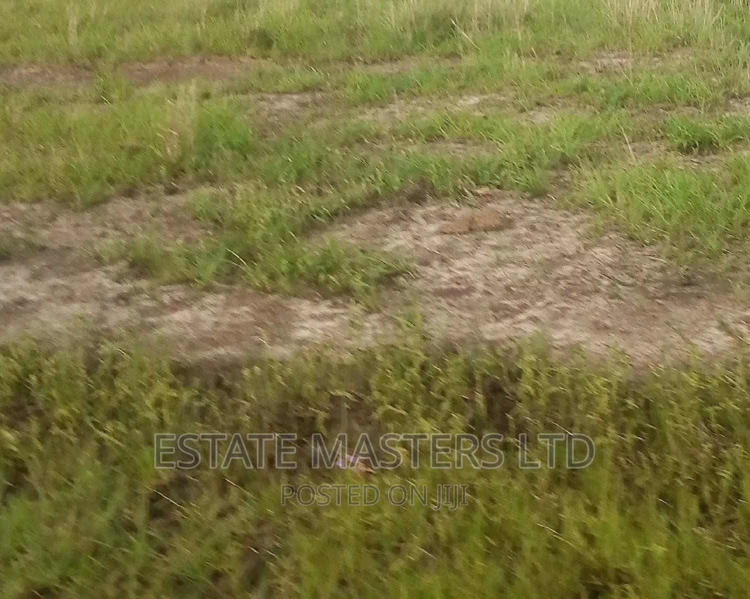 Titled Plots After Central University