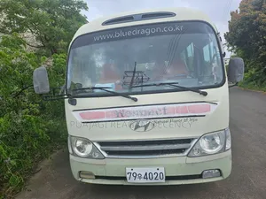 Hyundai County 2016 Grey