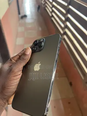 Apple iPhone 13 Pro Max 256 GB Gray