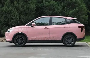 Neta V Base 2023 Pink