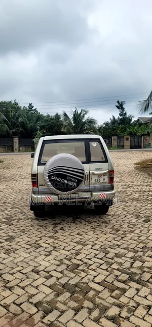 Isuzu Trooper 2002 Gray