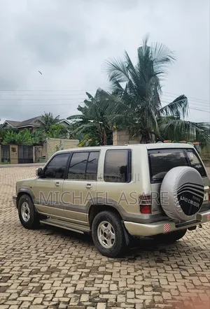 Isuzu Trooper 2002 Gray