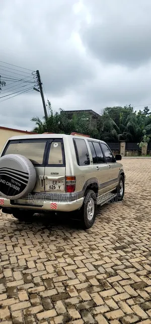 Isuzu Trooper 2002 Gray
