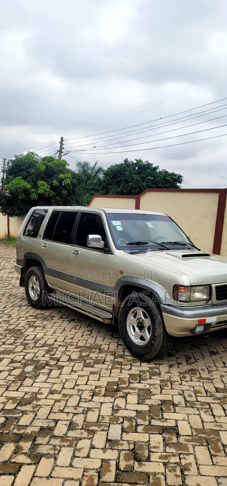 Isuzu Trooper 2002 Gray