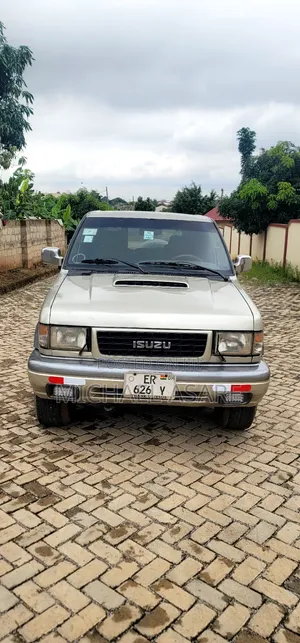 Isuzu Trooper 2002 Gray