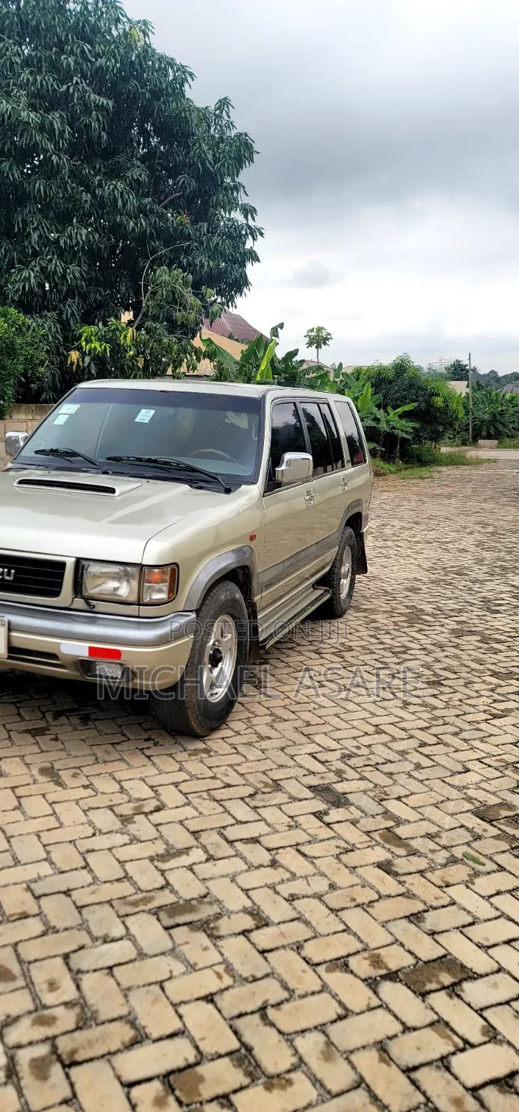 Isuzu Trooper 2002 Gray