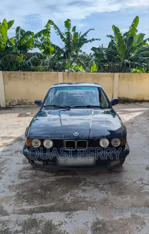 BMW 525i 1995 Blue