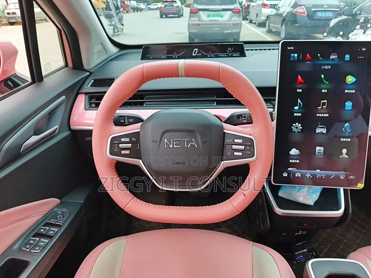 Neta V Base 2023 Pink