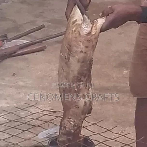 Grass Cutter Meat