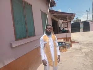 Mr.Ansu Autix Elias