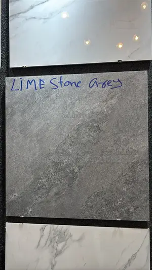 India 60x60 Floor Matt Tiles