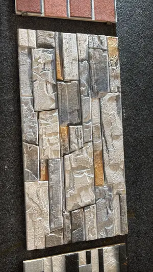 30x60 Facial Tiles